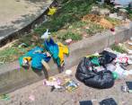 Los dos animales fueron hallados en la esquina de la calle 66 con carrera 50 del barrio Prado Centro. FOTO: CORTESÍA DENUNCIAS ANTIOQUIA