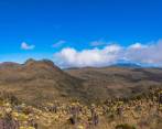 El páramo del Sol está ubicado en el municipio de Urrao (aunque se extiende hasta Caicedo, Abriaquí y Frontino). Es un ecosistema crucial para el equilibrio ambiental del departamento y el país. FOTO SSTOCK.