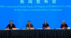 La OMS confirmó que todo continúa señalando a que el SARS-CoV-2 procede de los murciélagos. FOTO CAPTURA VIDEO