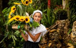 Los silleteritos de Santa Elena: cultura y tradición