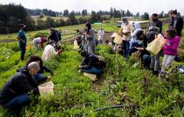 De la huerta orgánica a la mesa, una nueva propuesta gastronómica para disfrutar del campo