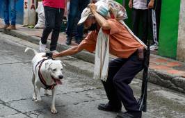 Beethoven, el perro sordo que unió a un pueblo