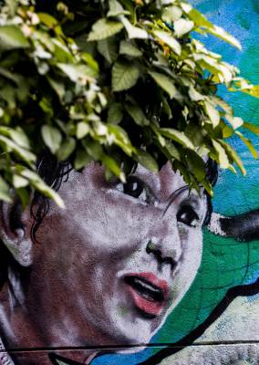 Los murales y naturaleza cobran vida cuando se aprecian juntas. Fotos Julio César Herrera.