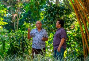 Los botánicos Álvaro Cogollo y Álvaro Idárraga. Foto: Camilo Suárez