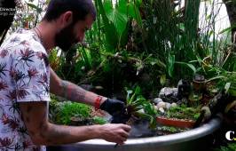 Sembrar como hábito a implementar para salvar el planeta