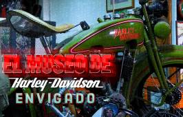 ¡Increíble! un museo de motos Harley Davidson en el sótano de un restaurante