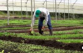 Pomario y la generación de cambios en la cultura gastronómica