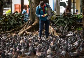 La estrategia se desarrolla inicialmente en parques de los barrios Pedregal, Aranjuez y Belén. FOTO: JAIME PÉREZ