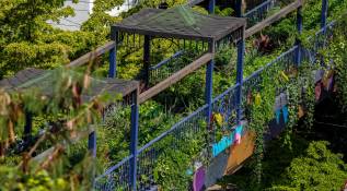 En este puente fueron sembrados 922 metros cuadrados con diferentes especies de plantas. Foto: Camilo Suárez