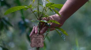En cada uno de los árboles del Sendero de la Memoria una placa de madera recuerda el nombre y la edad de las personas fallecidas a causa de la pandemia. Foto: Manuel Saldarriaga Quintero.