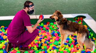 La ciudad acogió con terapia asistida con animales como política publica para recuperar pacientes en hospitales. Fotos: Manuel Saldarriaga