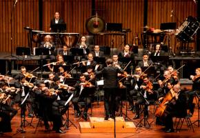 Las violas han estado desde el inicio de la Orquesta Filarmónica, en 1983. En ese entonces eran de los músicos. Foto: Cortesía.