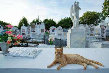¿Se le mide? Ir de paseo a conocer fantasmas