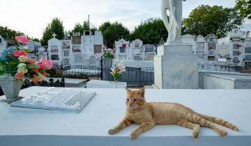 ¿Se le mide? Ir de paseo a conocer fantasmas
