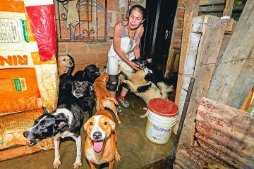 Margarita aún llora el asesinato a machetazos de dos de sus 83 perros