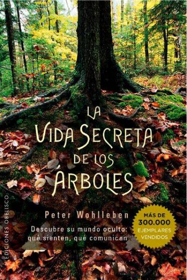 Un paseo por el bosque