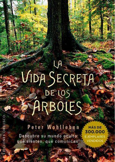 $!Un paseo por el bosque