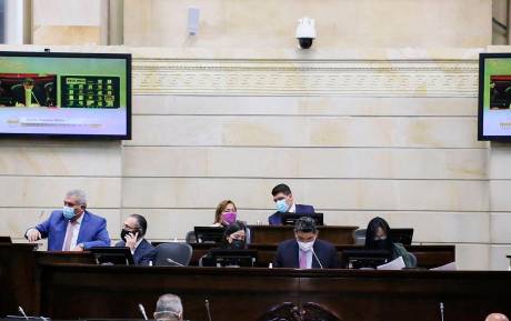 El artículo fue aprobado con 54 a favor y 30 en contra. FOTO: SENADO.