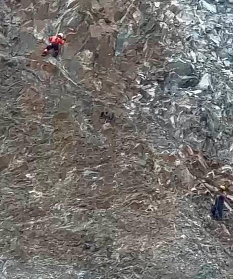Bomberos rescataron a un perro que llevaba tres días atrapado en las montañas de la autopista Medellín-Bogotá 