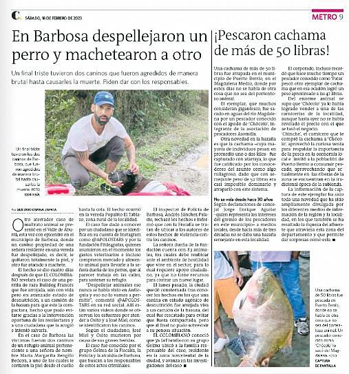 Margarita aún llora el asesinato a machetazos de dos de sus 83 perros