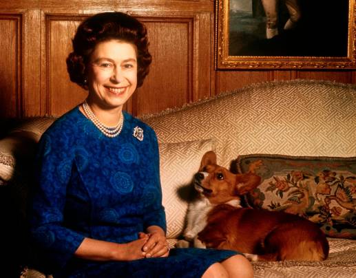 La reina Isabel II de Gran Bretaña sonríe radiantemente durante una sesión de fotos en el salón de Sandringham House en Norfolk. Uno de sus corgis la mira. FOTO: GETTY
