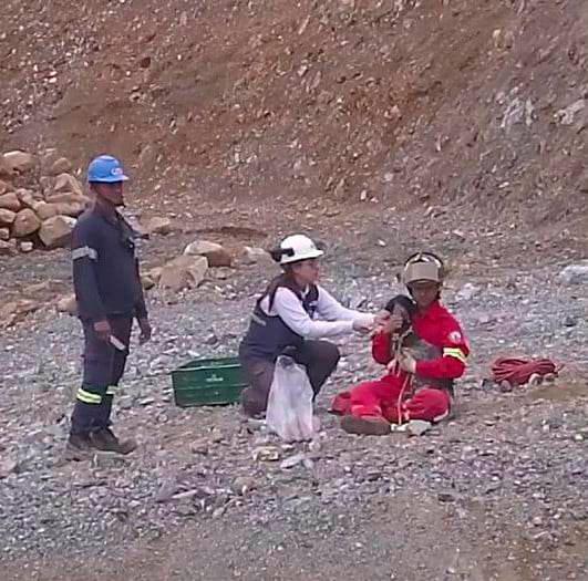 El perro fue rescatado de la montaña y quedó bajo protección de los bomberos de Bello. FOTO CORTESÍA