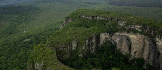 Deforestación sigue haciendo estragos en áreas protegidas