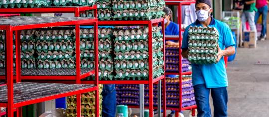 Entre enero y julio el índice de precios al consumidor de los huevos observó una variación de 24,81 %, según el Dane. FOTO Juan Antonio Sánchez