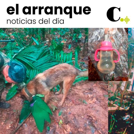 Huellas en la selva dan esperanza en búsqueda
