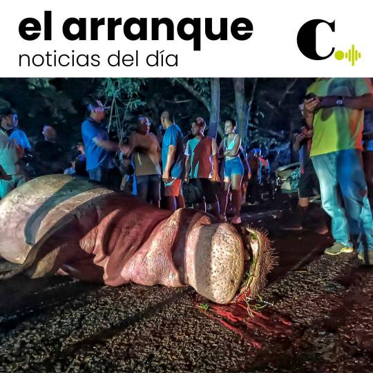 ¿Quién responde en accidente contra hipopótamo?