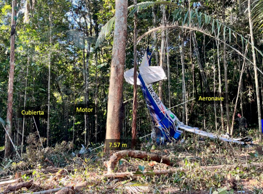 El informe detalló que el avión, primero, arborizó sobre las copas de los árboles. Allí sufrió el desprendimiento de la planta motriz. Luego, la aeronave se deslizó entre las ramas e impactó contra el suelo. <b><span class="mln_uppercase_mln"> </span></b>FOTO<b><span class="mln_uppercase_mln"> Aeronáutica</span></b>