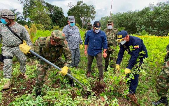 El Ministro de Defensa, Carlos Holmes Trujillo, confirmó que 18.700 hombres entre uniformados e integrantes de los Grupos Móviles de Erradicación han participado en el proceso de erradicación manual de coca. FOTO MINDEFENSA
