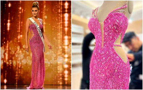 La historia del vestido de gala que lució la reina de Colombia en Miss Universo La historia del vestido de gala que lució la reina de Colombia en Miss Universo