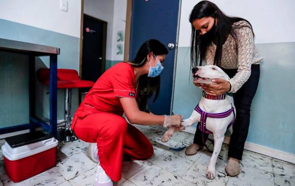 Nieve se prepara para donar sangre. FOTO Jaime Pérez