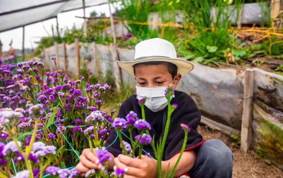 Los silleteritos hacen parte de los 7.800 niños adscritos a procesos de formación artística en Medellín. FOTO Camilo Suárez