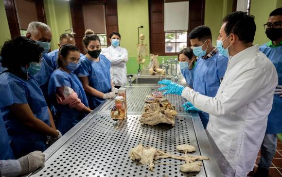 Esta facultad ha formado a varias generaciones de reconocidos médicos. FOTO CAMILO SUÁREZ