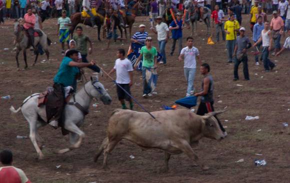 Las corralejas comenzarían este jueves 20 de enero de 2022. Gobernación de Sucre y Procuraduría advierten falta de condiciones para su realización. FOTO: COLPRENSA.