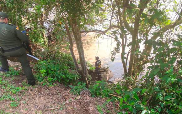 No hay rastro de familia que cayó al río Cauca en el Suroeste