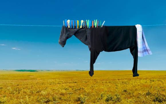 Helga Stentzel es la creadora de estas obras llamadas surrealismo doméstico. Este caballo, hecho con ropa colgada, se llama Pegasus. Foto: Cortesía HS.