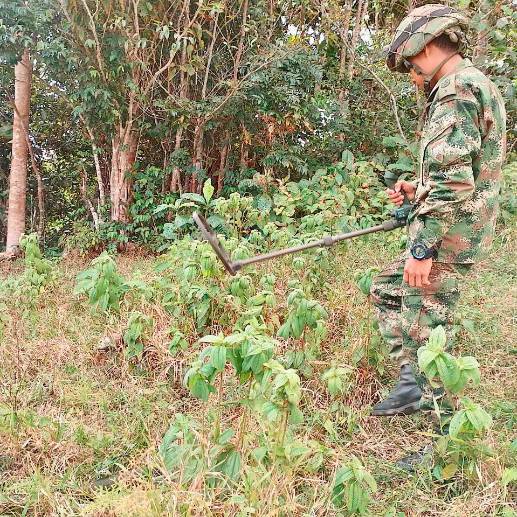 El Ejército Nacional encontró dos minas antipersonal y una carga de explosivos en Chocó. Foto: Ejército Nacional. 