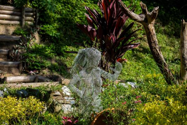 En este día se busca fomentar el desarrollo sostenible que imponga un equilibrio entre las necesidades económicas, sociales y ambientales. Foto: Camilo Suárez Echeverry 