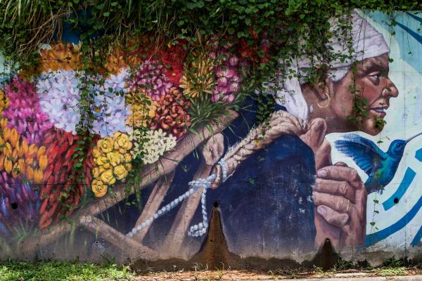 Artistas urbanos complementan sus obras con la naturaleza para embellecer los espacios que nos rodea. Fotos Julio César Herrera.
