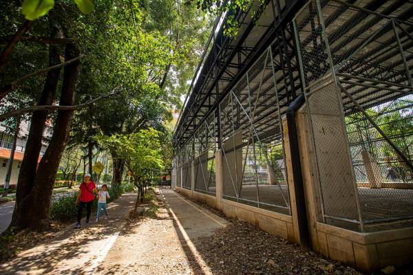 En 2019 la comunidad votó para priorizar recursos por $1.359 millones del presupuesto participativo en una intervención que renovara el escenario, con techo y nuevo equipamiento deportivo. Foto: Carlos Velásquez