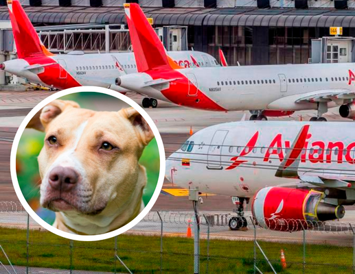 El incidente afectó el sistema de calefacción de una de las bodegas. La aerolínea reportó que “el vuelo aterrizó sin novedades”. FOTO: JUAN ANTONIO SÁNCHEZ/SHUTTERSCTOK