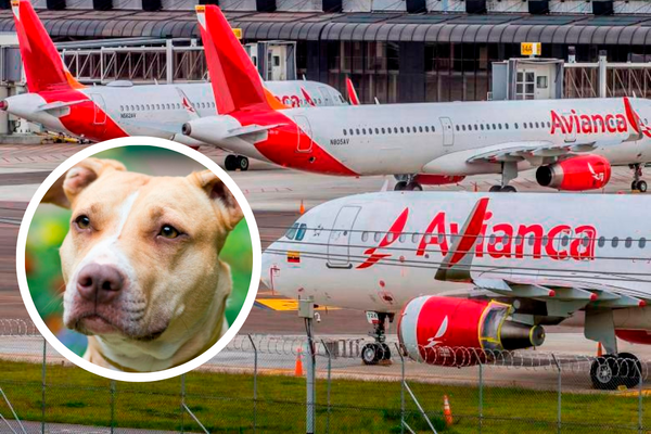 El incidente afectó el sistema de calefacción de una de las bodegas. La aerolínea reportó que “el vuelo aterrizó sin novedades”. FOTO: JUAN ANTONIO SÁNCHEZ/SHUTTERSCTOK