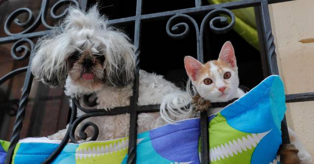 FOTO donaldo zuluaga