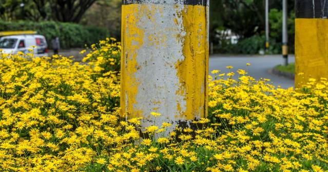 FOTO Juan Antonio Sánchez Ocampo