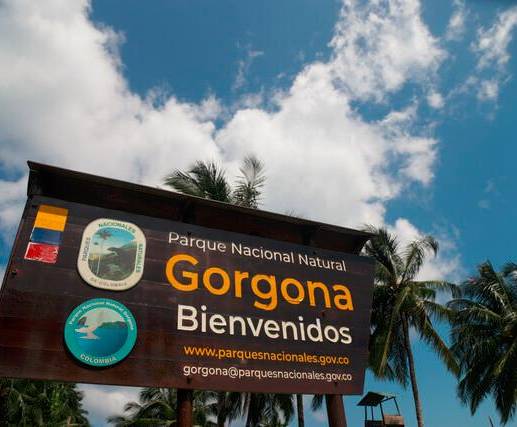 Procuraduría considera que el proyecto de construcción en la isla Gorgona es viable, aunque la ministra de ambiente y la comunidad no están de acuerdo. Foto: Colprensa. 