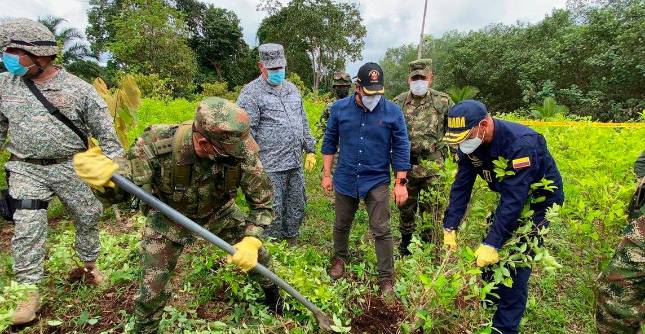 El Ministro de Defensa, Carlos Holmes Trujillo, confirmó que 18.700 hombres entre uniformados e integrantes de los Grupos Móviles de Erradicación han participado en el proceso de erradicación manual de coca. FOTO MINDEFENSA