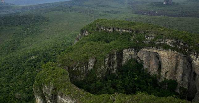 Deforestación sigue haciendo estragos en áreas protegidas